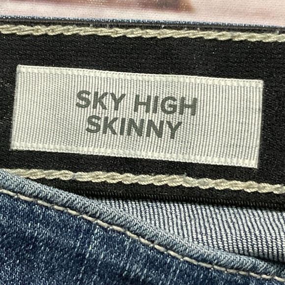 Torrid Womens Jeans size 18 Tall Long Dark Wash Skinny x31" Cotton Denim Stretch - Picture 6 of 11